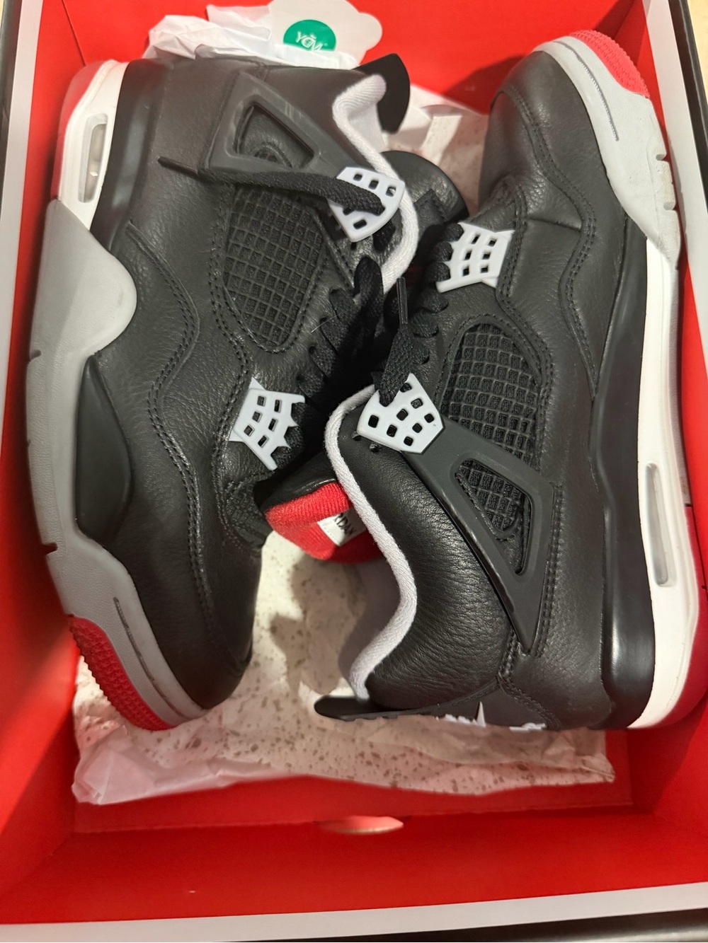 Air Jordan retro leather